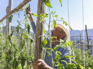 ristorante-da-ciccio-cielo-mare-terra-amalfi-azienda-agricola-08